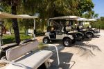 Ferry to the Bahamas Get around Bimini Bahamas via Golf Cart Get around Bimini Bahamas via Golf Cart